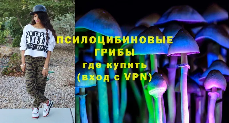 купить наркотик  Большой Камень  Галлюциногенные грибы MAGIC MUSHROOMS 